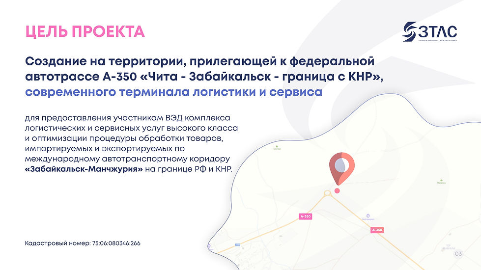 ЗТЛС Забайкальский терминал логистики и сервиса 