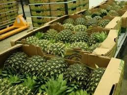 pineapple Thailand