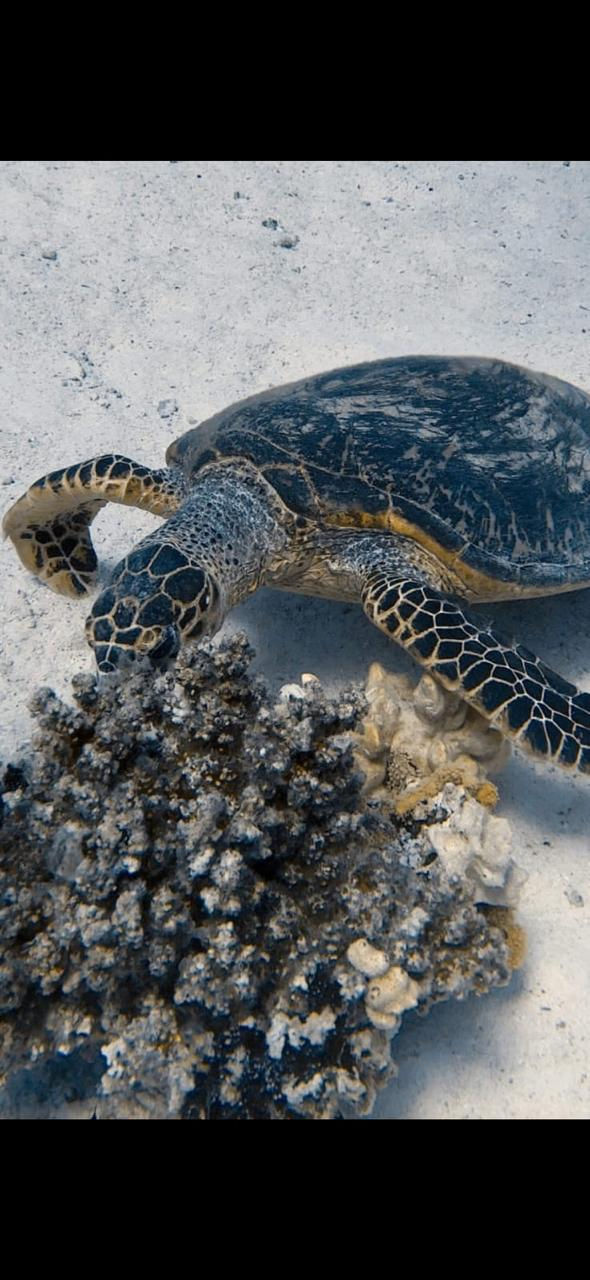 e2692432-7b11-4147-80d6-593101cdf352