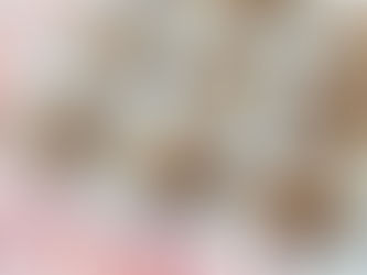 Chocolate Chip Muffins