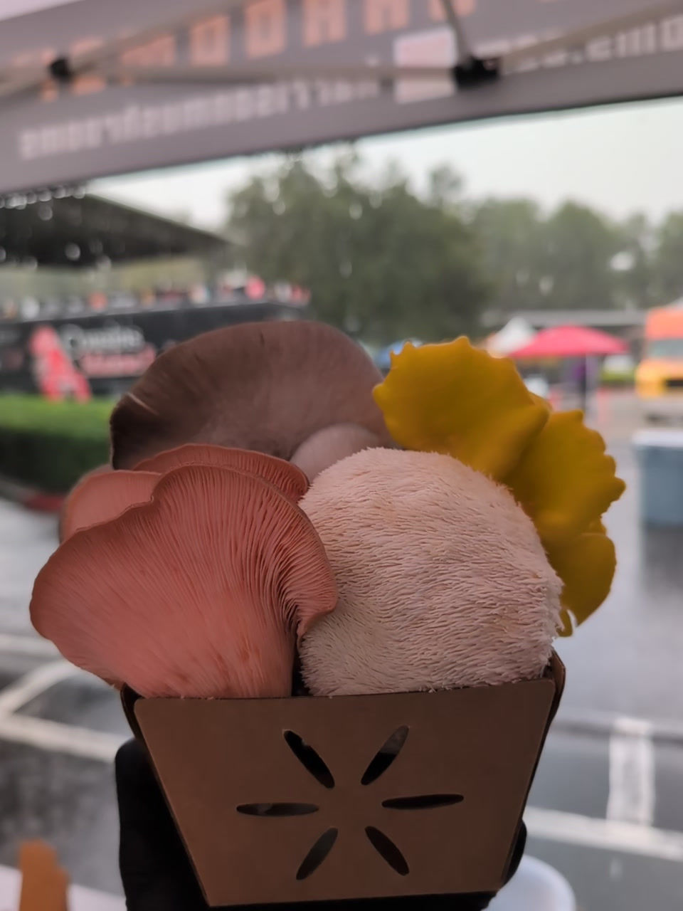 Thumbnail: Farm Variety Mix