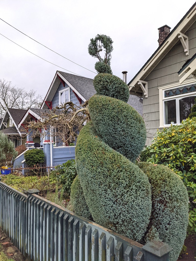 Topiary, Juniper 3-Tier — whole plant