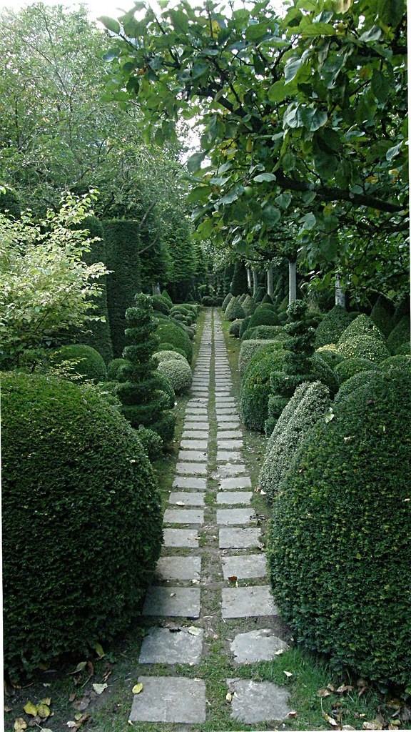 Topiary, Boxwood 3-Tier — whole plant