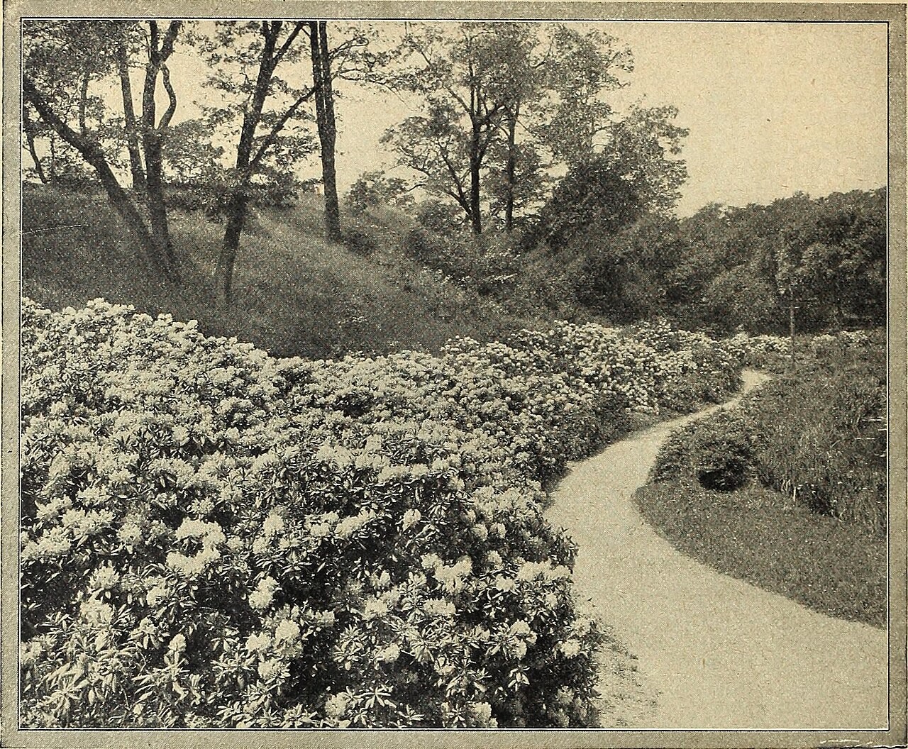 Topiary, Boxwood Patio — flowers or notable detail