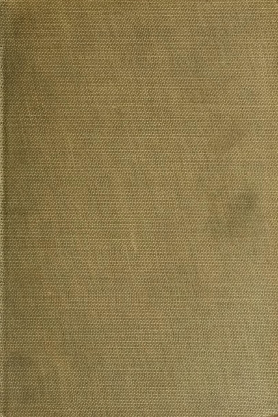 Rose, Peggy Martin — flowers or notable detail
