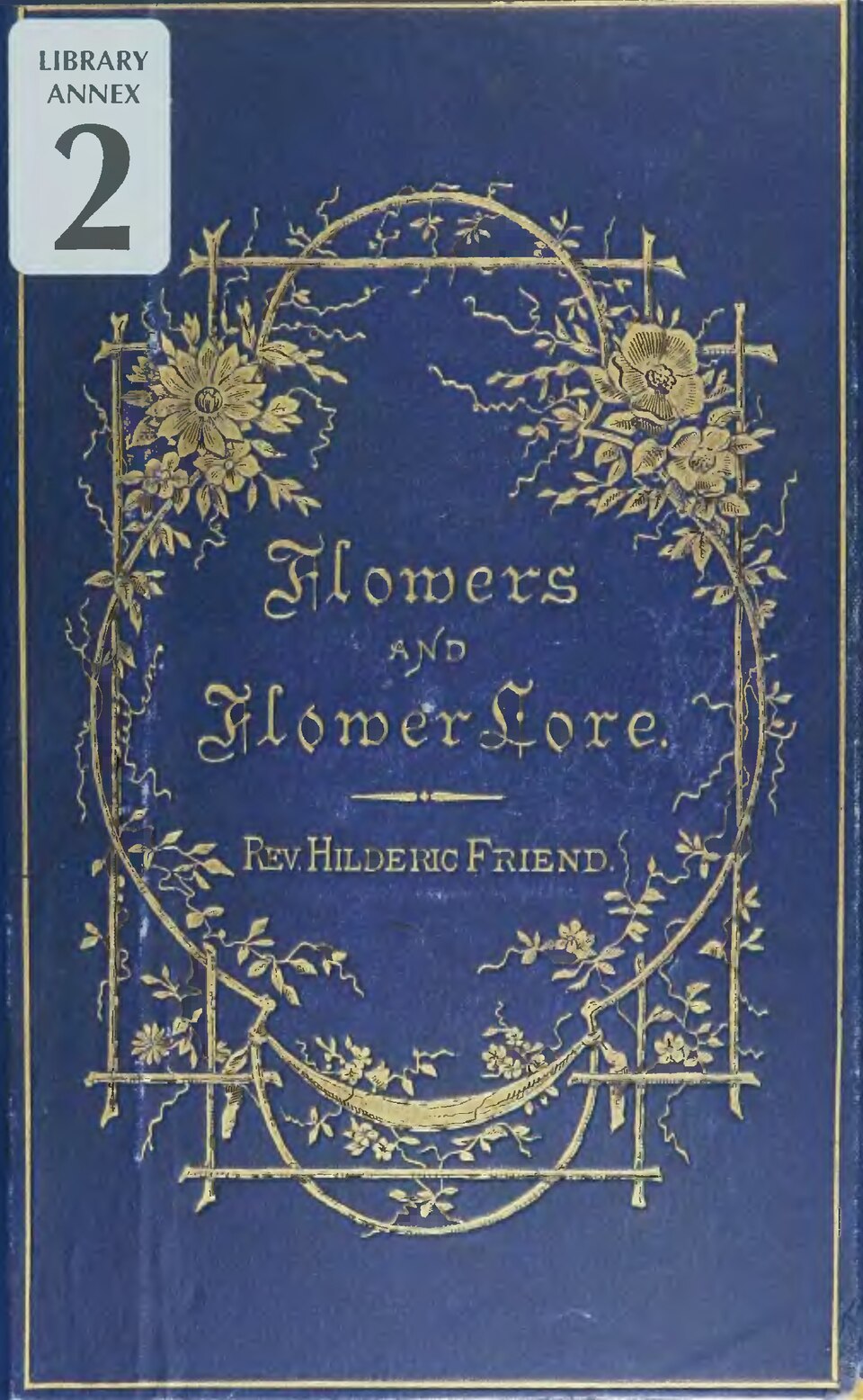 Sage, Russian — flowers or notable detail
