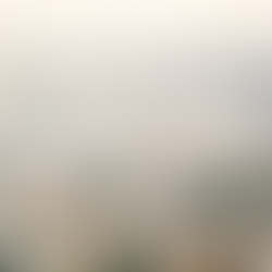 5 Benefits of Working with a Local Interior Designer Near You