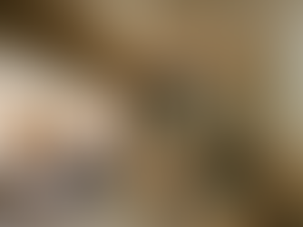 The Pitfalls of Free or Cheap Interior Designs