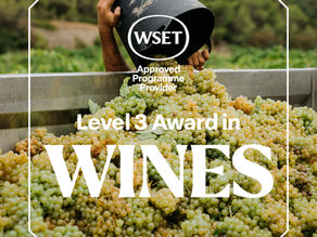 WSET Level 3 bestehen: 5 Lerntipps für eine erfolgreiche Prüfungsvorbereitung