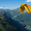 Pikkukuva: OZONE SWIFT 6 (highB,kevyt)