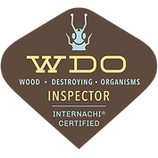 Certified WDO termite inspector