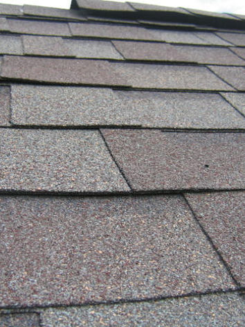 roof inspection 2