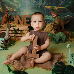Ședință foto bebeluș 1 an decor junglă și dinozauri studio foto București