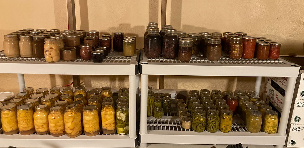 Some of our favorites include: Dill pickles, dill carrots, pickled beets, french onion soup, marinara sauce, green beans, moose meat, and cajun black-eyed peas.