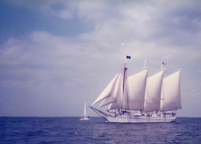 Domino Effect ship n Maine