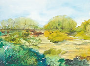 here-or-where-cjhassall.jpg