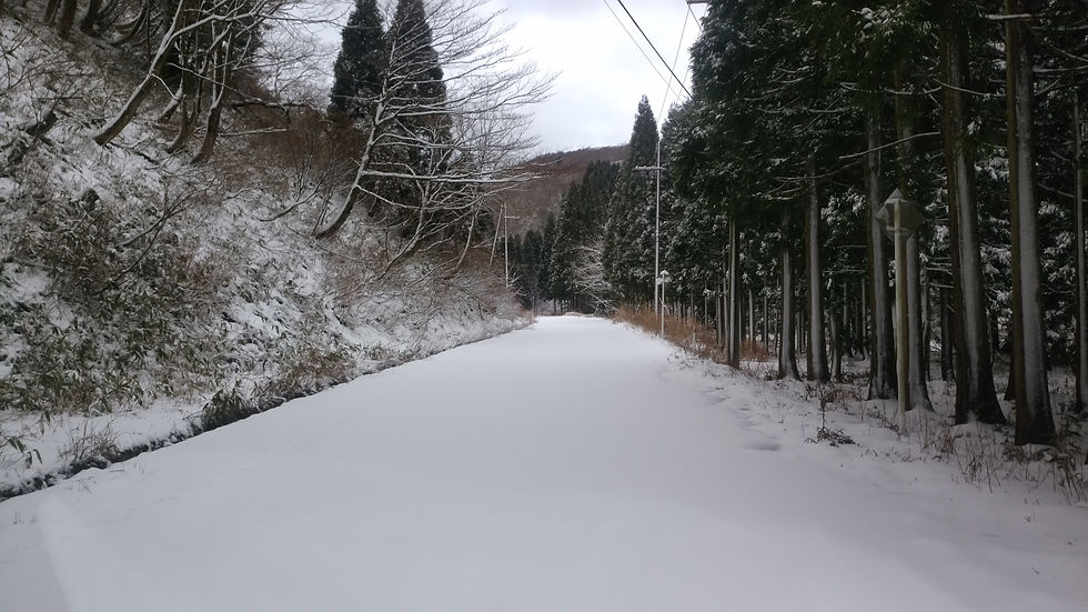 峠道