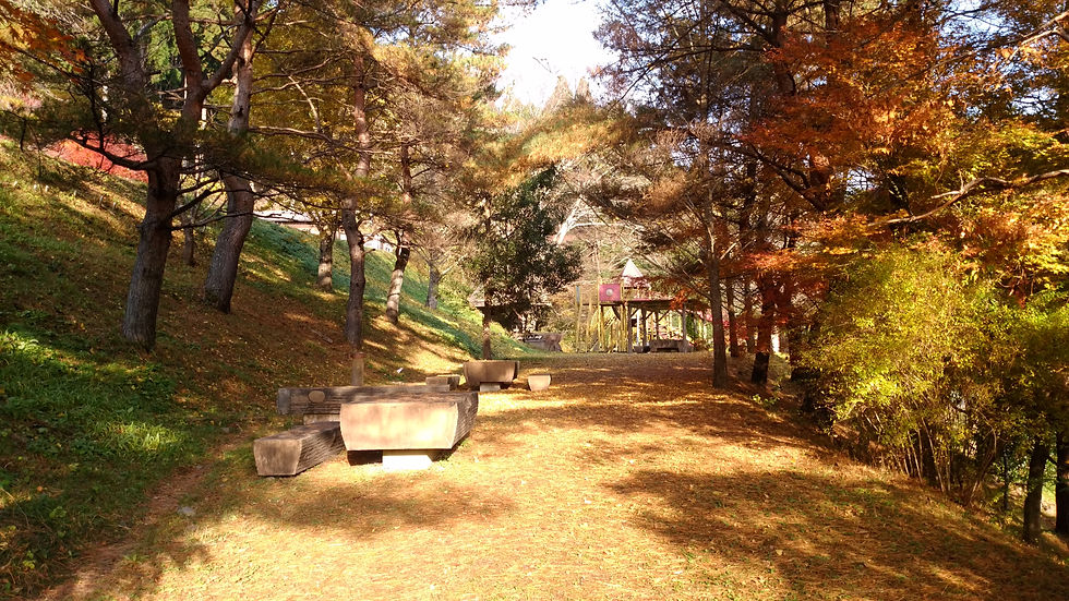 大見いこいの広場 秋