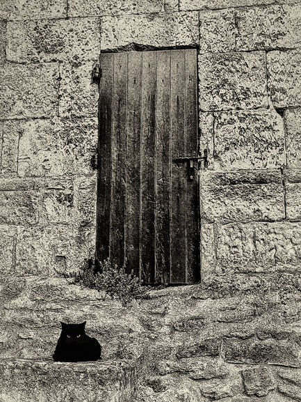 Chat rit varie... 
Chat 
Jérôme Pace
Fontvieille