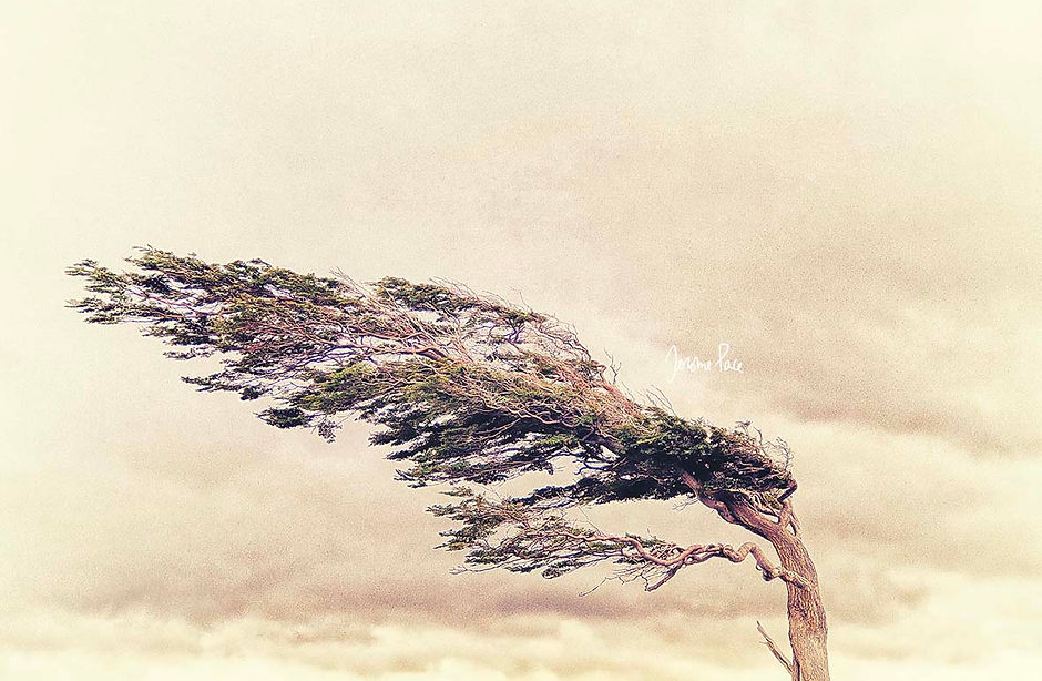 Il faut tenter de vivre.../We must try to live... (©Jérôme Pace)