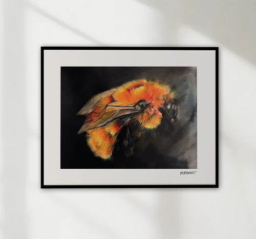 Patagonian Bumble Bee Print 20 Patagonian Bumble Bee Print 20