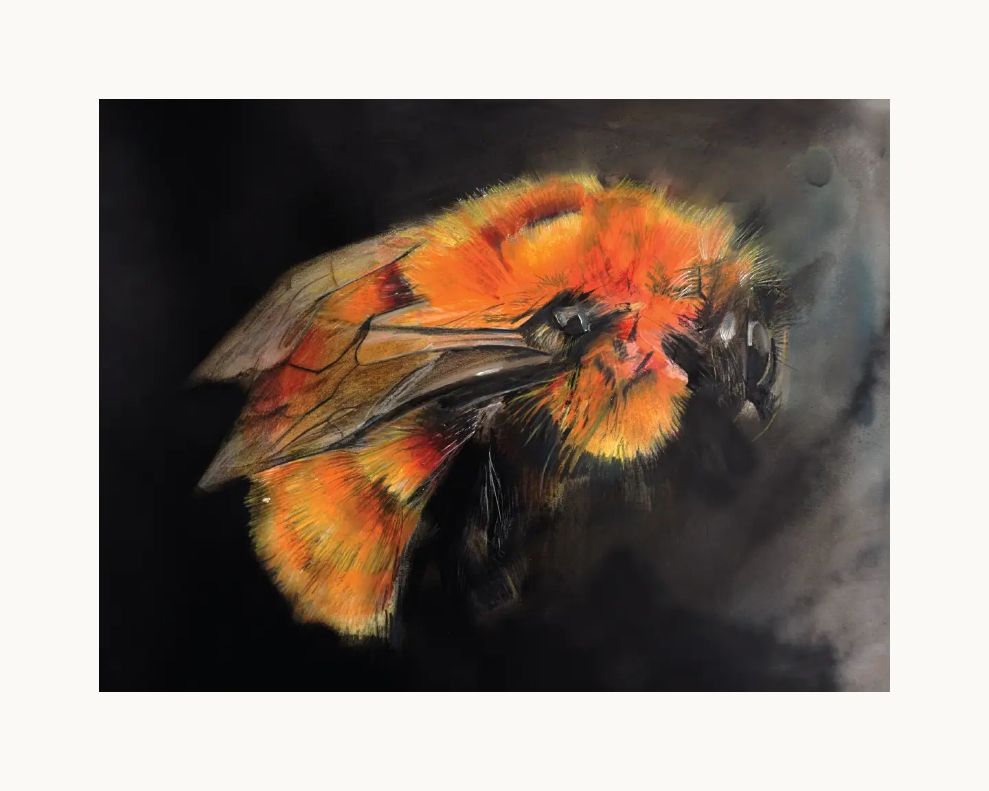 Patagonian Bumble Bee Print 20"x16"