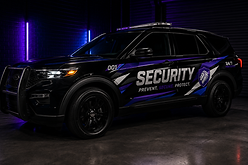 DAPA Security.png