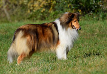 cooper 3y body_3.jpg