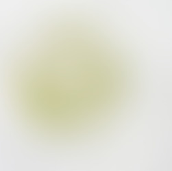 Volvox im Biounterricht 