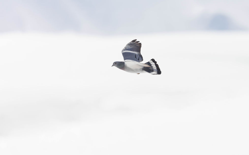 20220309-194A2223-Edit