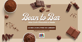 Bean to Bar: How Craft Chocolate is Made