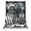 Thumbnail: White Knight AT60FSDW Full Size Freestanding Dishwasher