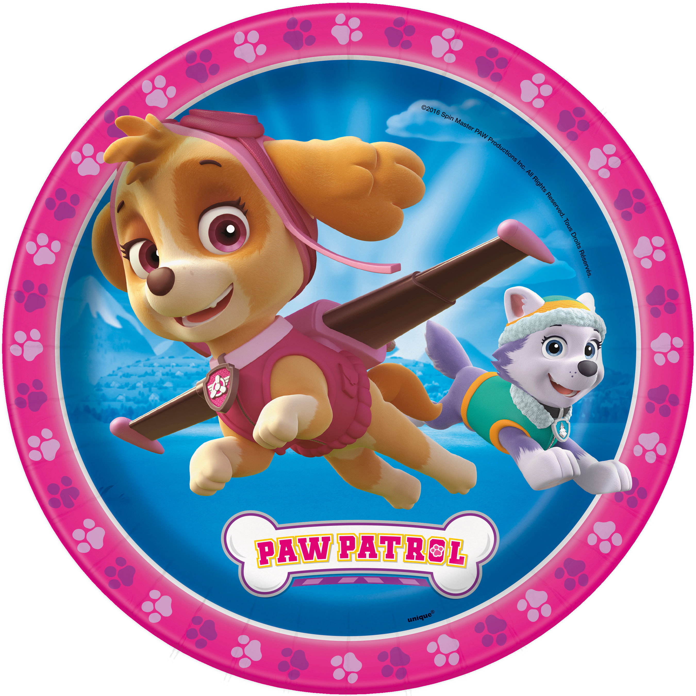 Paw Patrol Girl Birthday Decorations Party  9" Plates Pack of 8