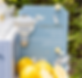 img5-07.png