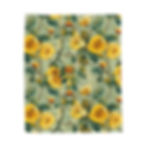 Van Gogh Velveteen Plush Blanket, Throw Blanket, Home Decor,