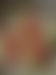 Top 10 Vegan Summer Salads for a Refreshing & Flavorful Season made by Chef Francesca Nardelli