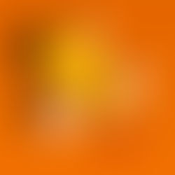 francesca-nardelli-citrus