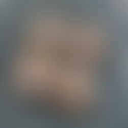 No-Bake Carrot Cake Protein Bites