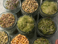 Sprouts: Living Foods for a Lasting Glow