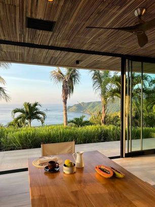 chocolate funguy mushroom chocolate fungtion phoebe mcpherson kanna