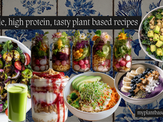 beginner guide to plant based eating