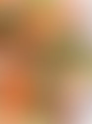 Chakra Cleansing Colorful Salad