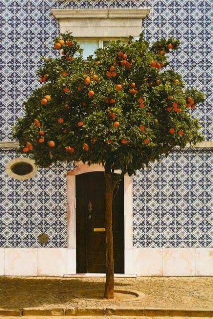 The Psychological Mechanism of Identity Erasure in Narcissistic Abuse