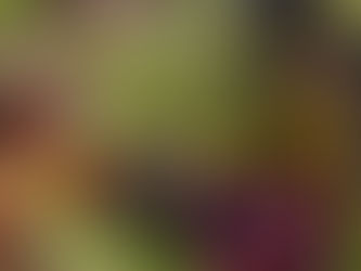 francesac nardelli onlyfans