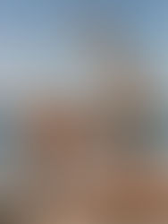 Plant-Based Protein: The Secret to Weight Loss and Muscle Gain – by Francesca Nardelli