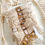 Thumbnail: Macrame Garland DIY Kit