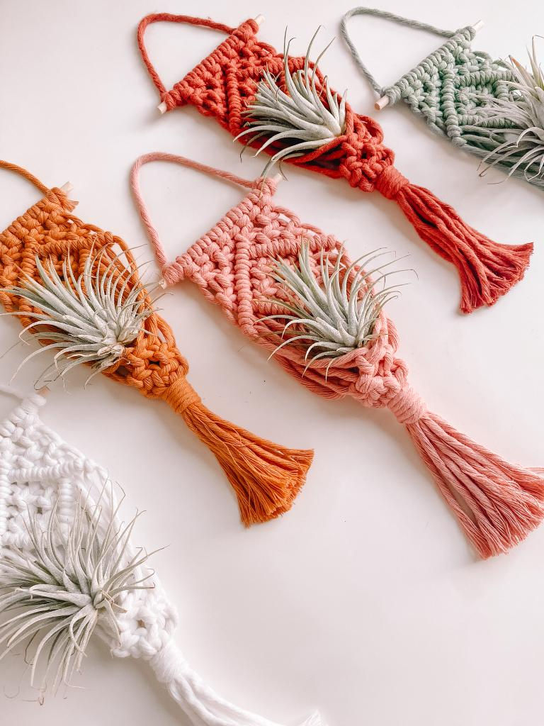 Thumbnail: Macrame Air-Plant Hanger
