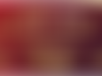 Gallop into the Year of the Horse!