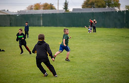 novice-2.jpg