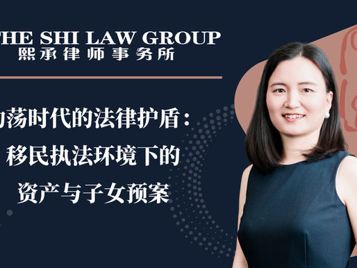 动荡时代的法律护盾：移民执法环境下的资产与子女预案